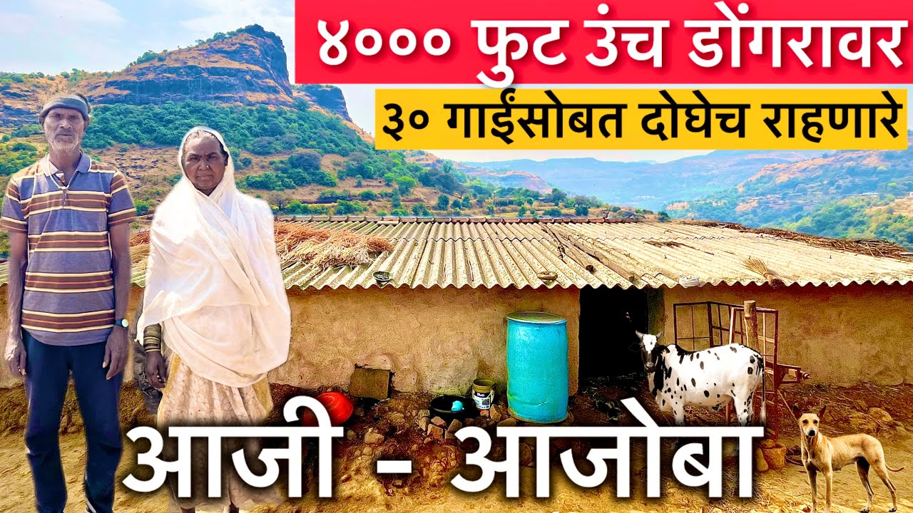 4000 फुट ऊंच डोंगरावर आहे एकच घर | येथे दोघेच राहणारे आज्जी आजोबा | NishantAwadeVlogs | Village Life