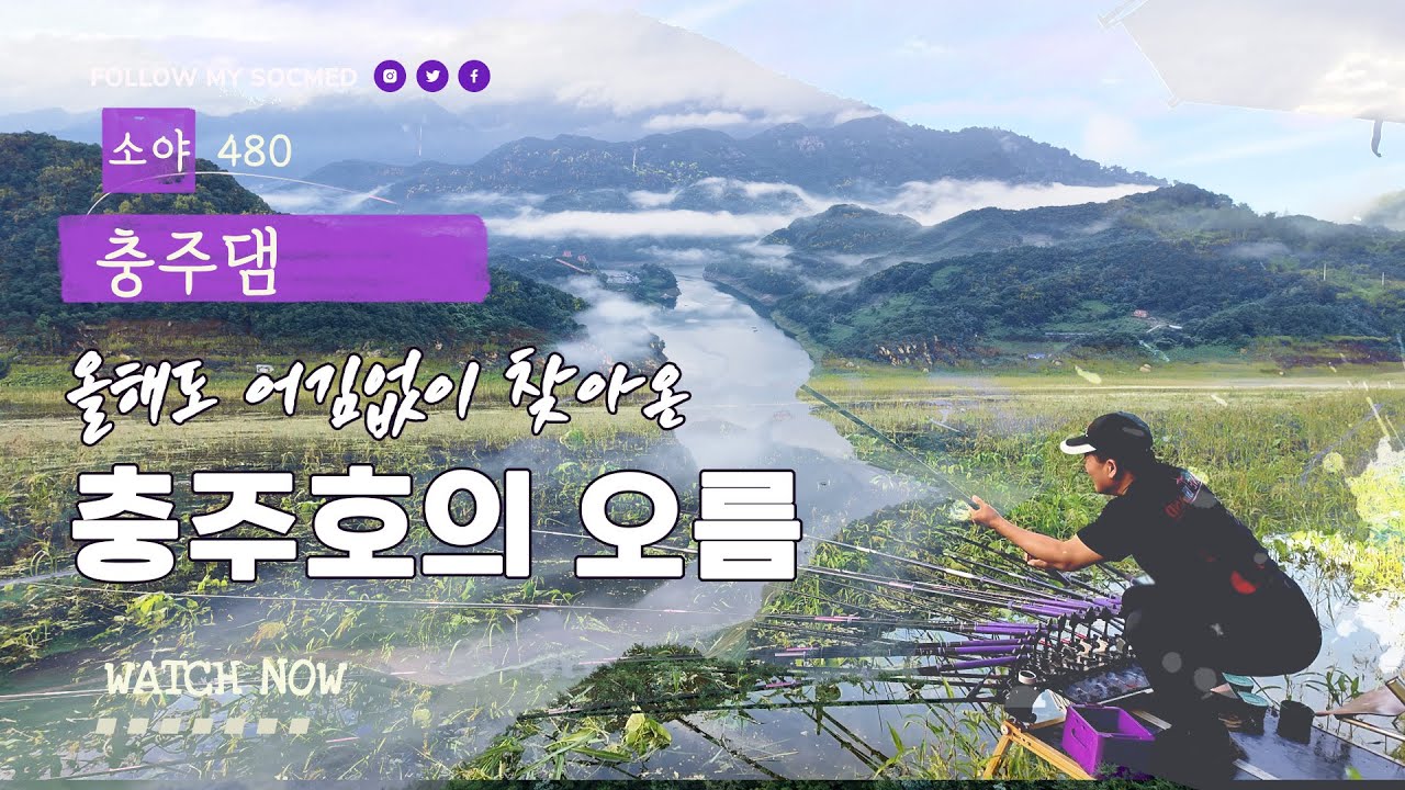 올해도 어김없이 찾아온 충주호의 오름수위
