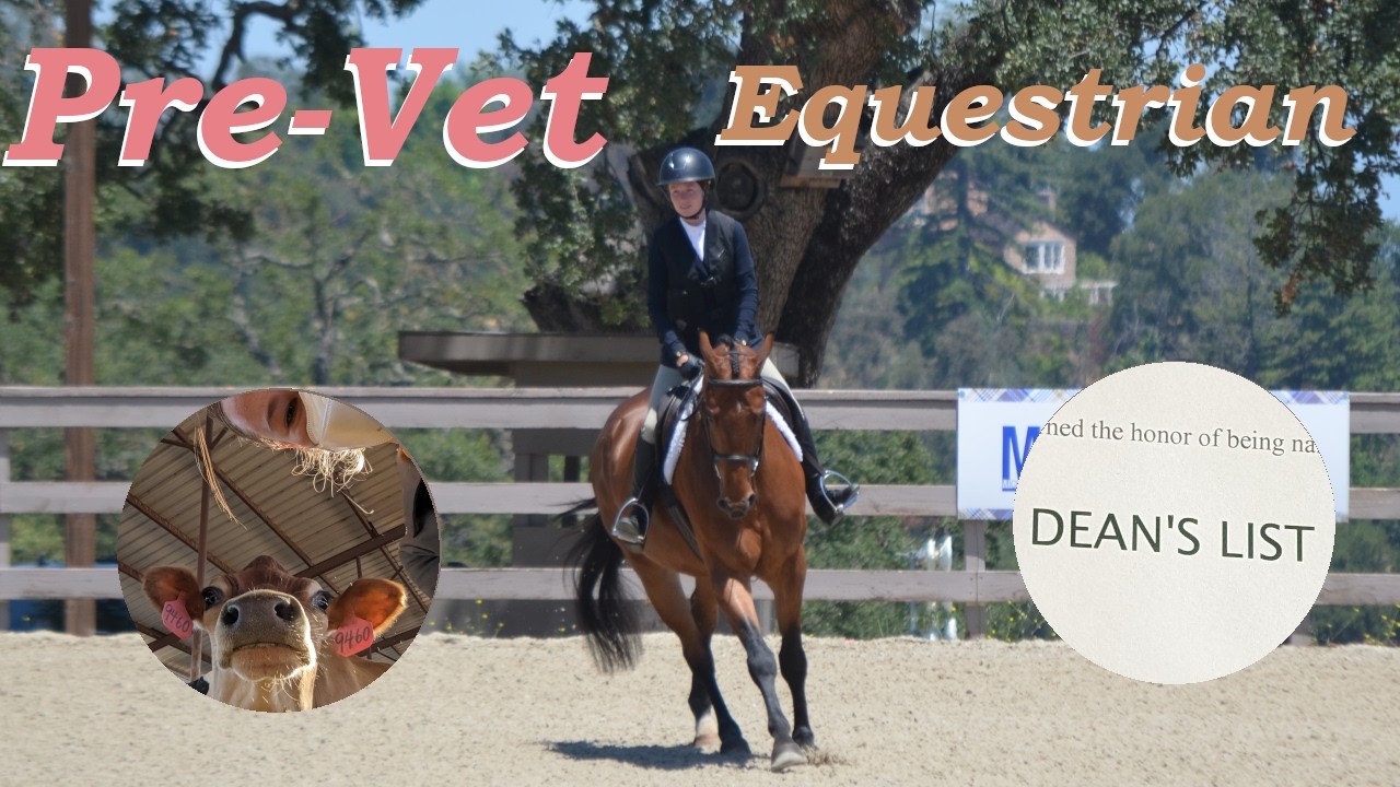 Day in the Life of a Pre-Vet Equestrian COLLEGE║ Cav ║  Riding Video ║ Vet ║ College Student ║