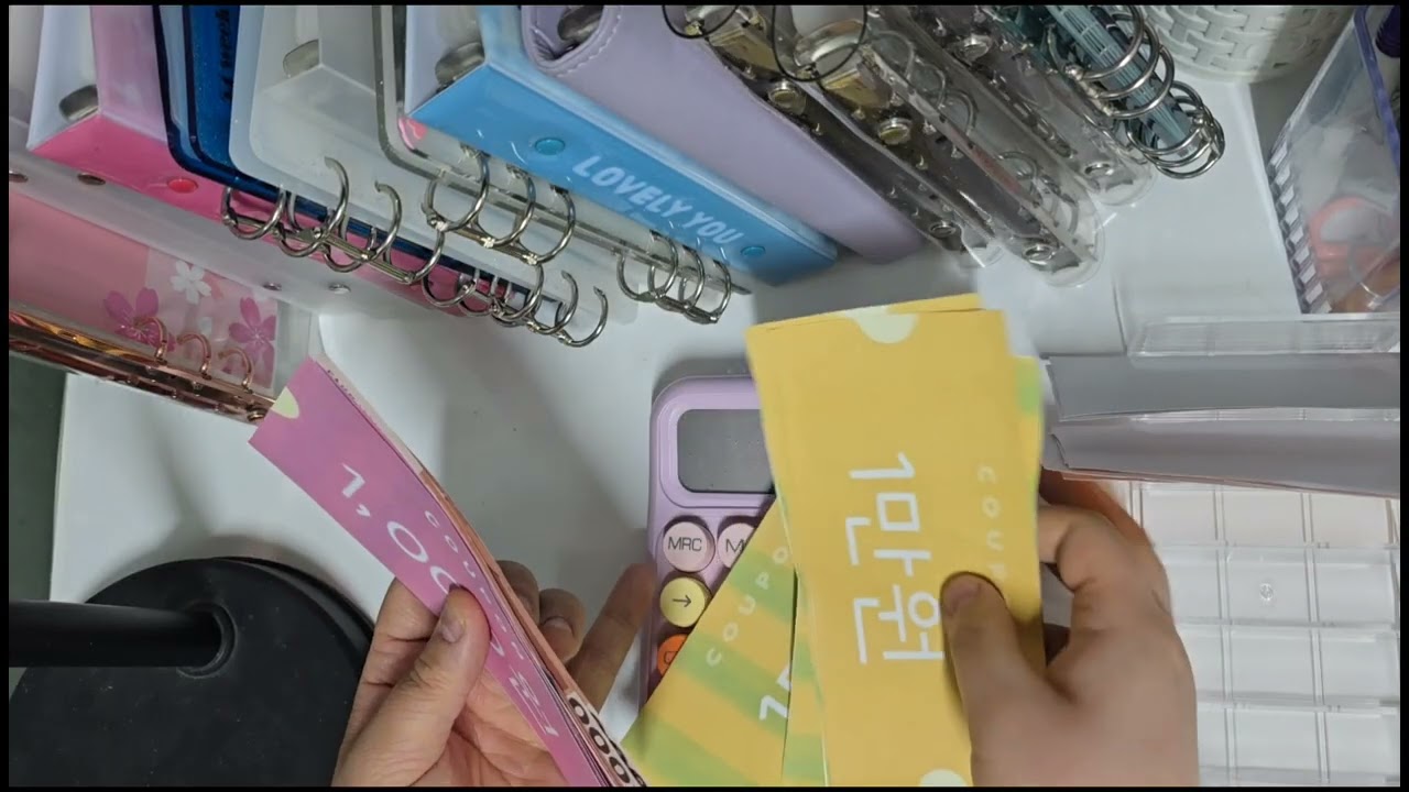 쏘쏘의 현금생활2