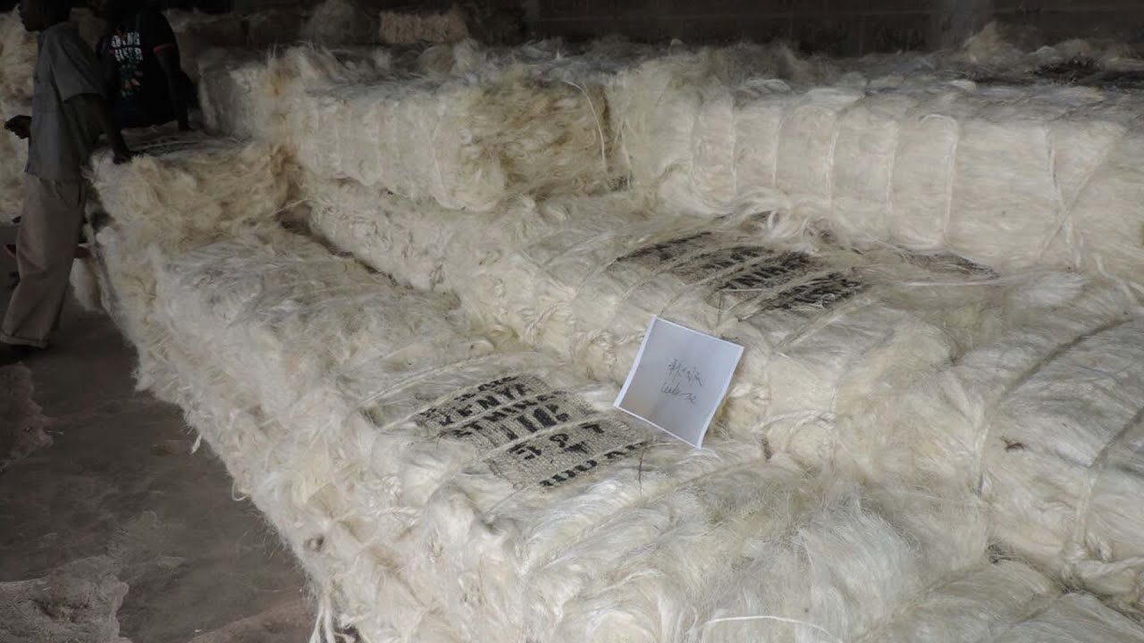 Ce Certificated Coconut Fiber Baler Machine Cheap Coconut Fiber Baler Machine