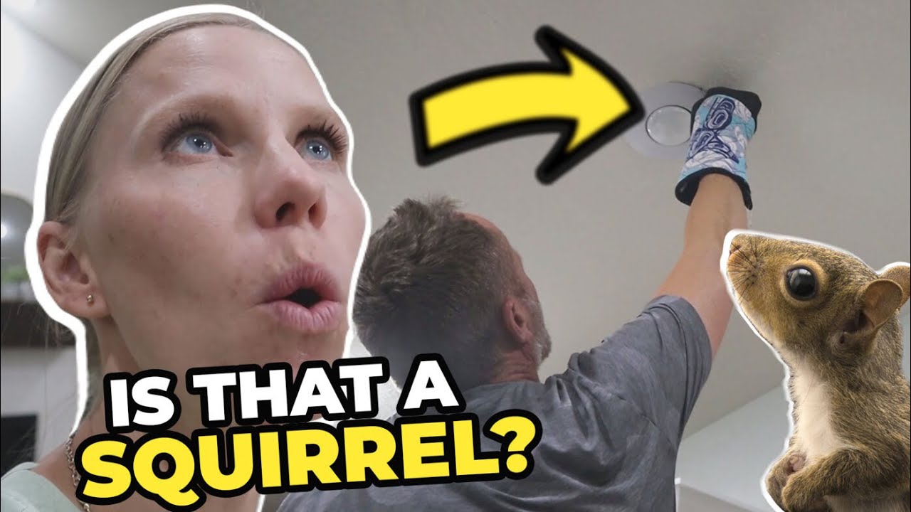 What’s in the ceiling!