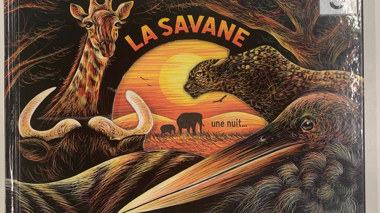 La savane une nuit… d’Isabelle Simler