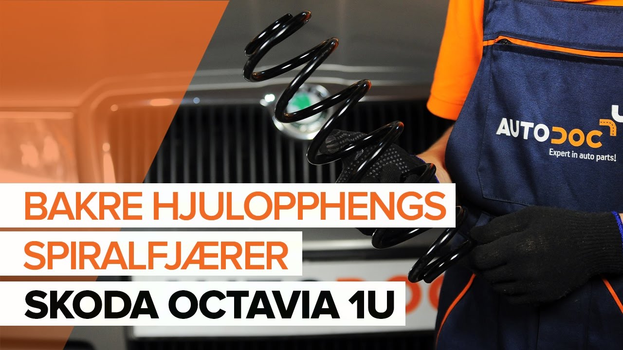 Hvordan bytte bakre hjulopphengs spiralfj&aelig;rer p&aring; SKODA OCTAVIA 1U [BRUKSANVISNING]