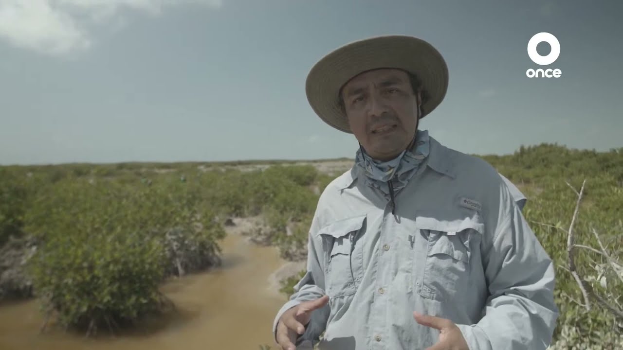 México biocultural - Reserva de la Biósfera Sian Ka´an (14/06/2022)
