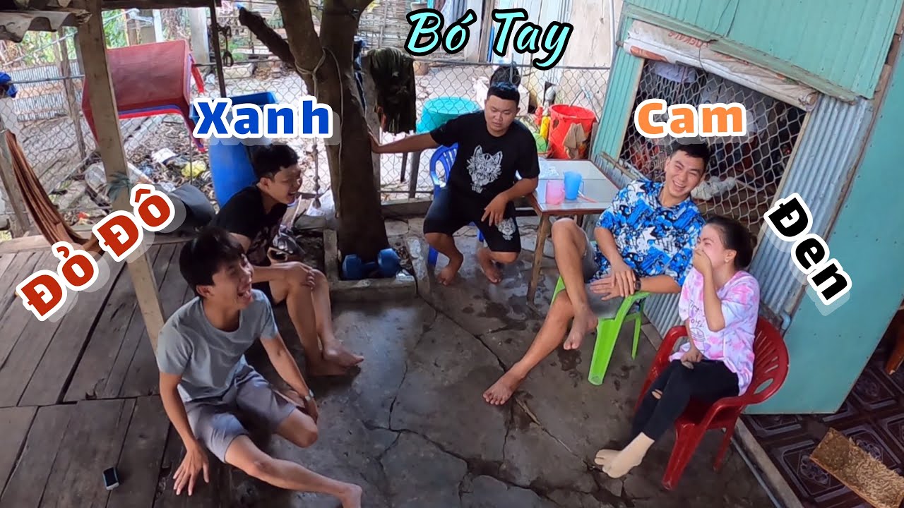 Tư B&eacute;o Bị M&ugrave; M&agrave;u Kh&ocirc;ng Ph&acirc;n Biệt Được M&agrave;u Sắc