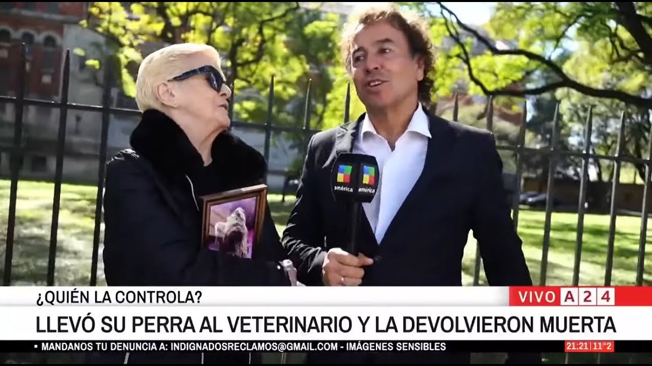 🐶LLEVÓ A SU PERRA AL VETERINARIO Y SE LA DEVOLVIERON MUERTA | UN INFORME DE GONZALITO RODRÍGUEZ