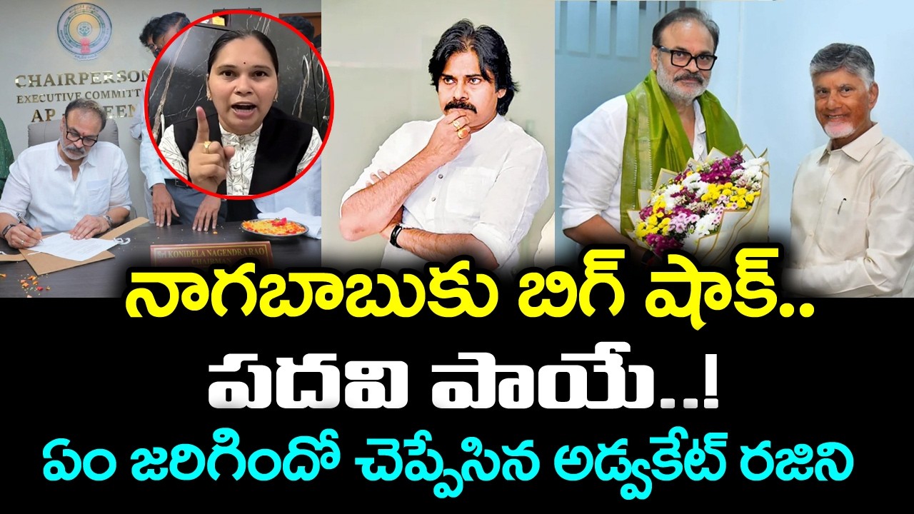 Advocate Rajini About MLC Nagababu | PDTV News