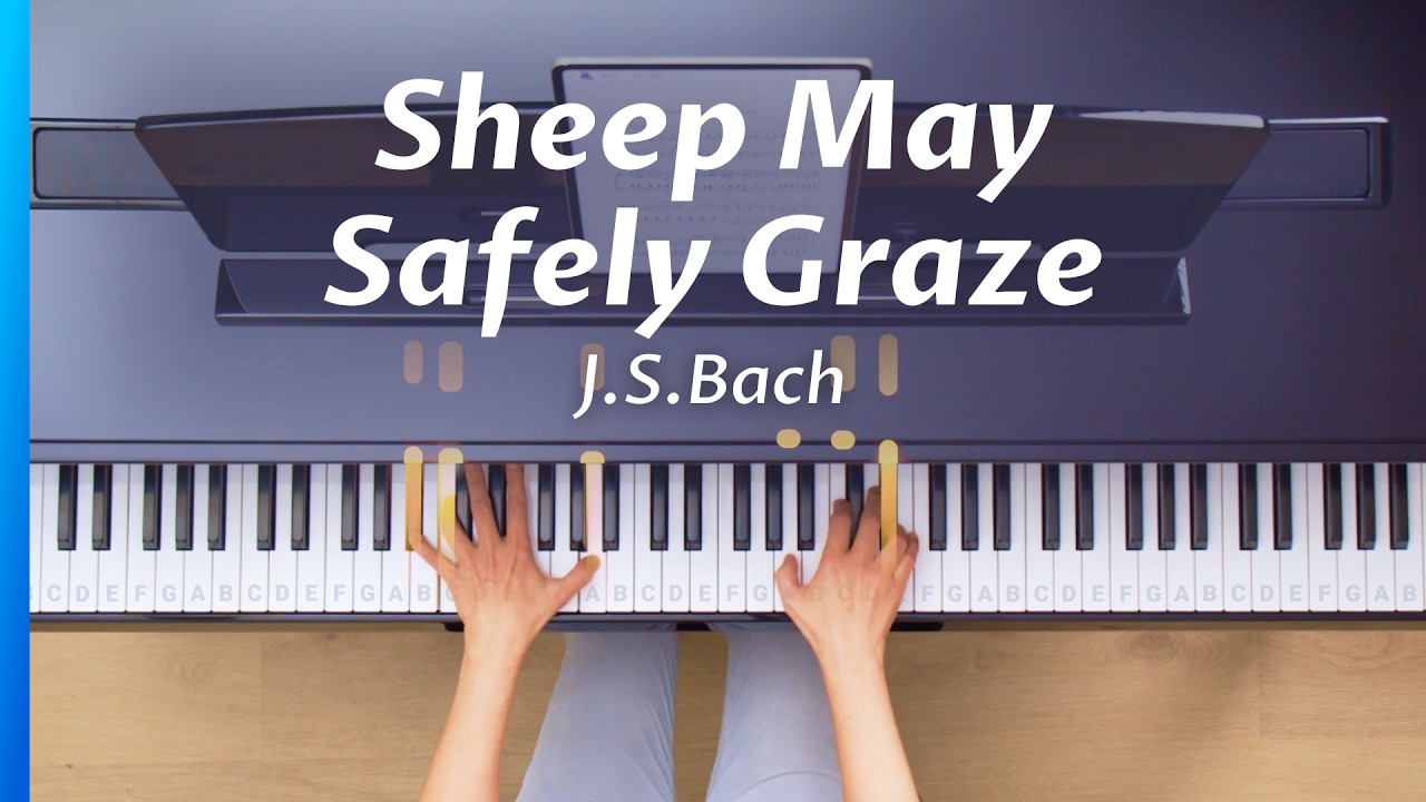 Sheep May Safely Graze – J.S. Bach | Piano