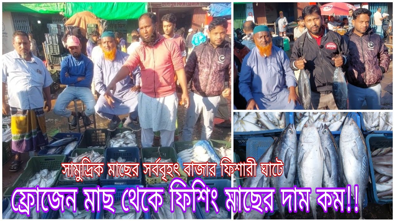 চট্টগ্রাম ফিশারী ঘাটে কোল্ডস্টোরেজ মাছ থেকে এখন ফিশিং মাছের দাম কম।Sea Fish|Frozen Fish|Fisheryghat