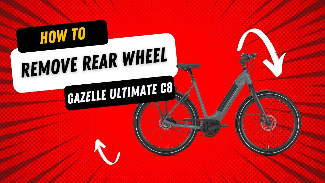 Gazelle Ultimate C8 Rear Wheel Removal