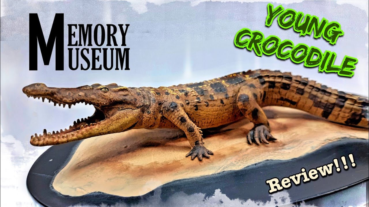 2021 Memory Museum 