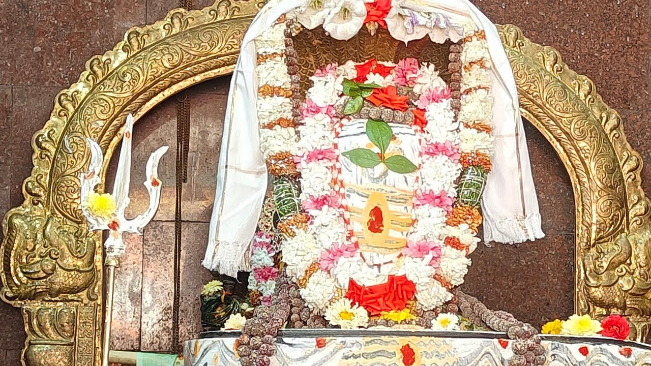 ବହୁତ ଲେଟ୍ ଆଜି 😏 ଆସନ୍ତୁ ଯୁଦ୍ଧ ଲାଗିବା 😜 ହର ହର ମହାଦେବ 🙏 ଯିଏ ଭାଷା କହିବ ମତେ ଚିହ୍ନିବ ଠିଆ ଫାଡିଦେବି 😡