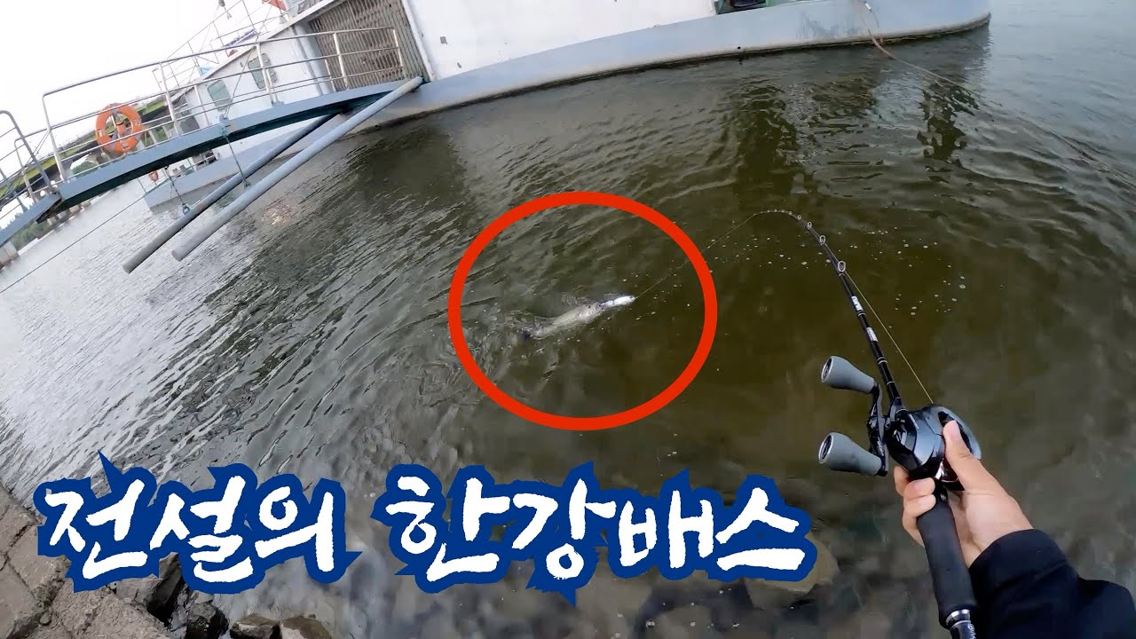 한강은 사실 빅베이트가 제일 잘어울리는 곳입니다