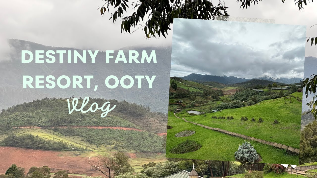 Destiny Farm Resort, Ooty Nilgiris #resort #farmstay #travel #trending #ooty #nilgiris #pet #nature