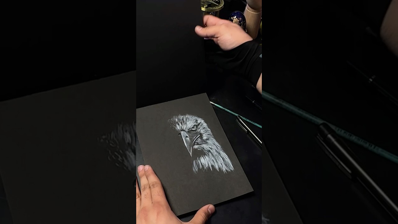 painting eagle on black paper with white pencil #art#painting #paint #draw#black#blackandwhite#eagle