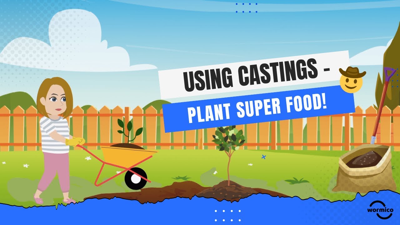 Using Worm Castings – Plant Super Food!