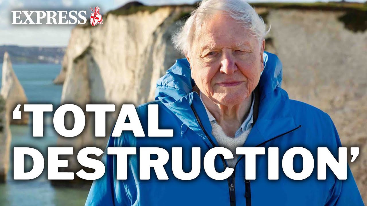 David Attenborough film shows the heartbreaking destruction of the ocean