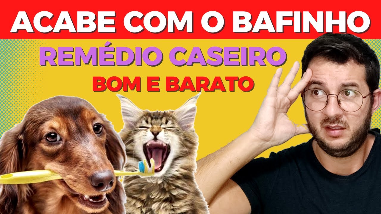 ACABE DE VEZ COM: BAFINHO, GENGIVITE, HALITOSE, DENTE ESCUTO EM CÃES E GATOS. SANTO REMÉDIO