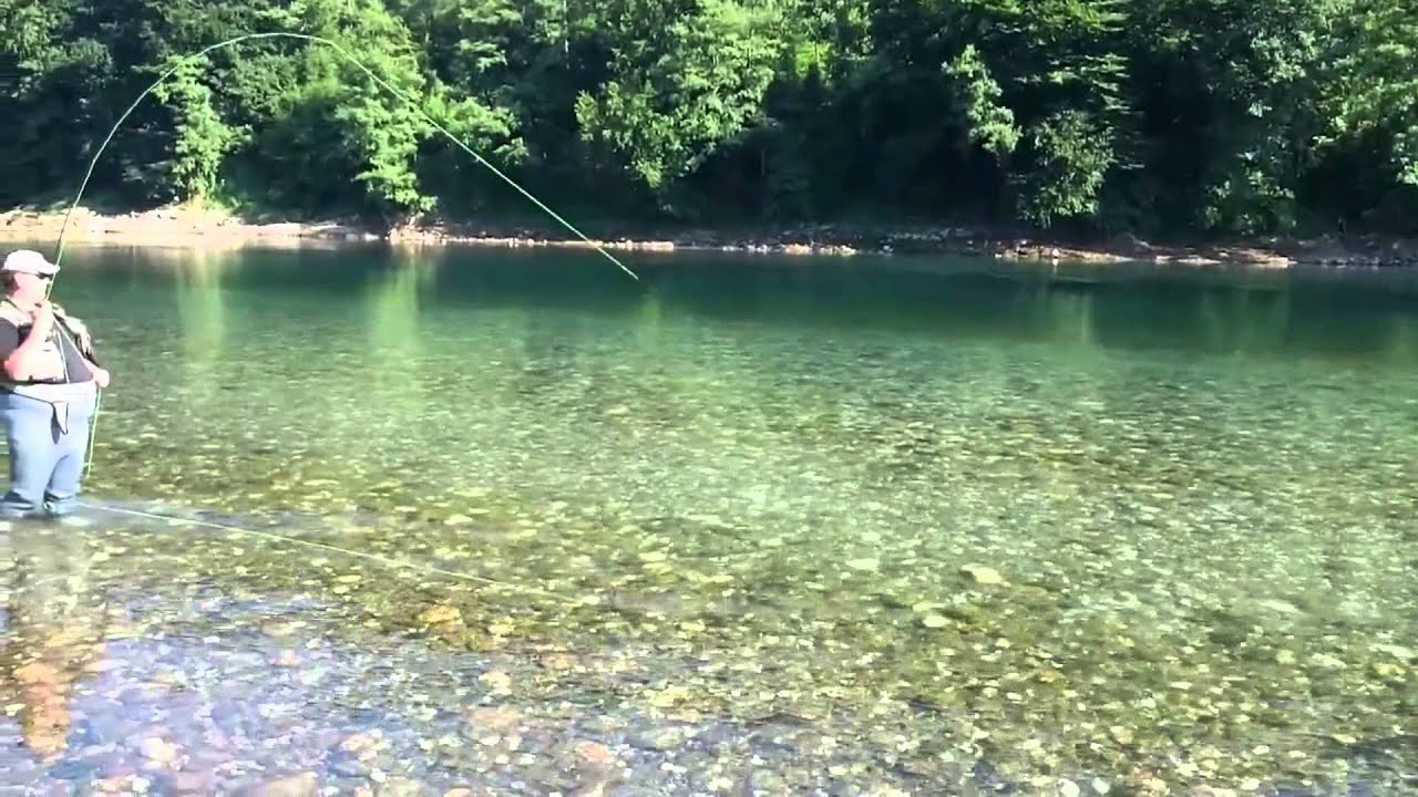 Drina River Dry Fly 2015