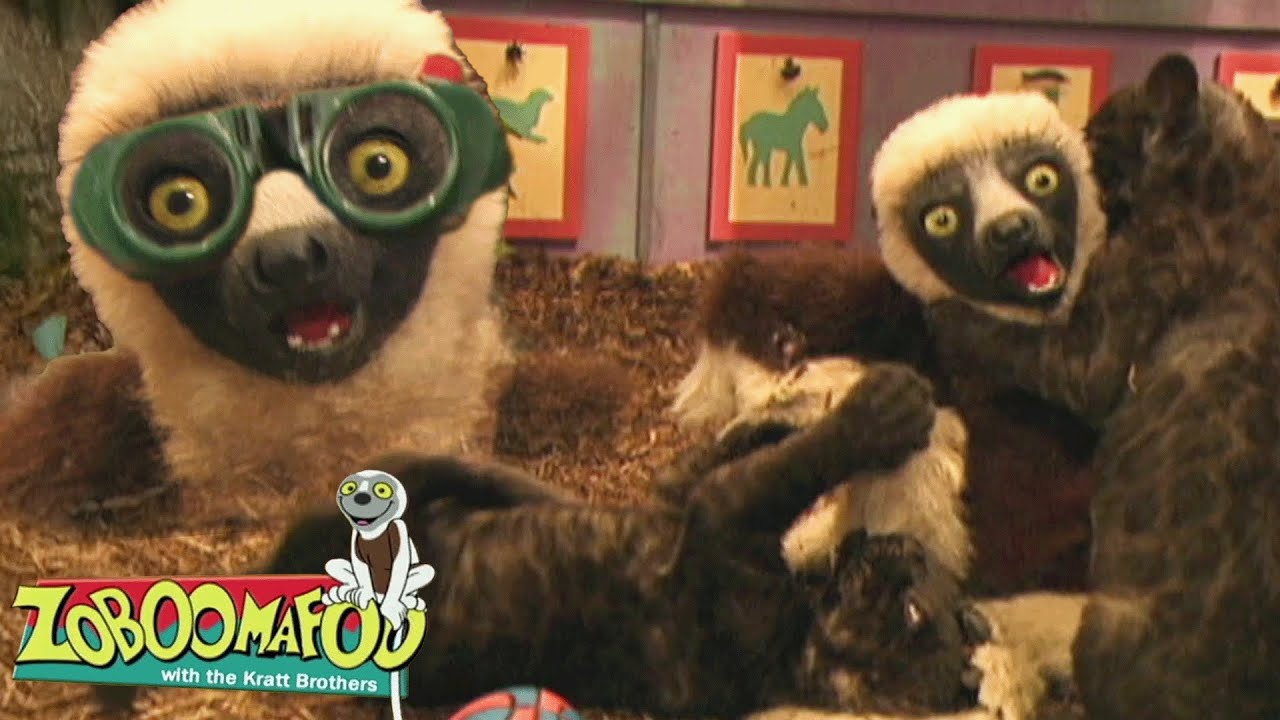 Eye Spy | Zoboomafoo - WildBrain | Learn about Animals!