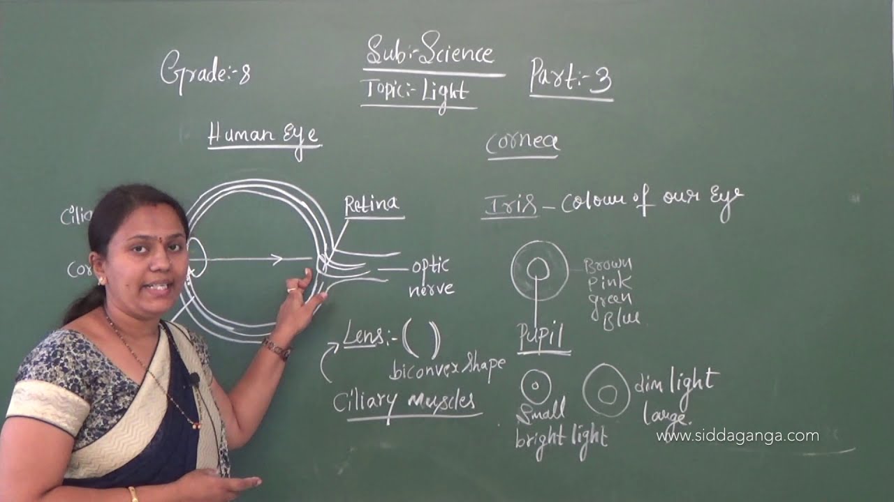 CBSE - STATE  8 - SCIENCE -  LIGHT - PART 3