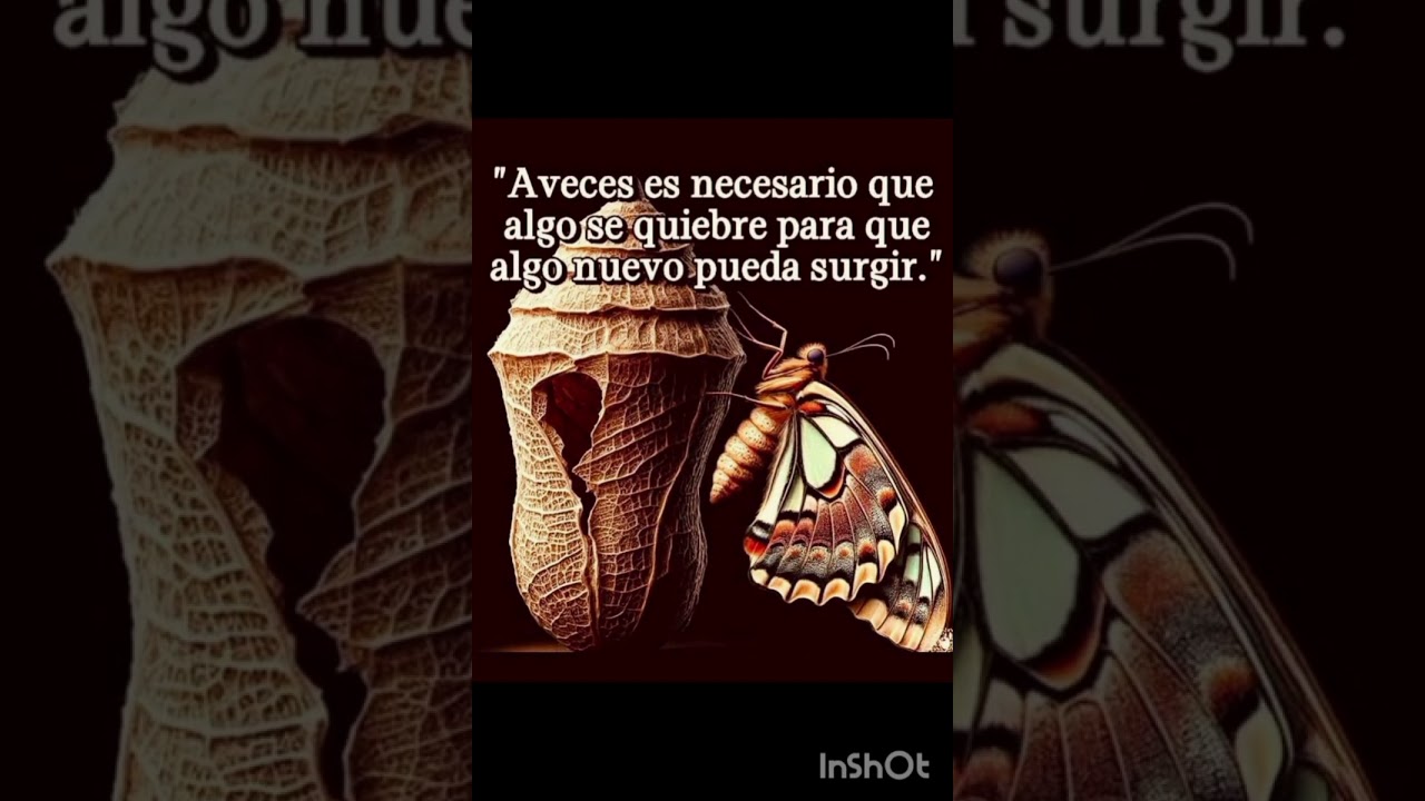 Motivación 