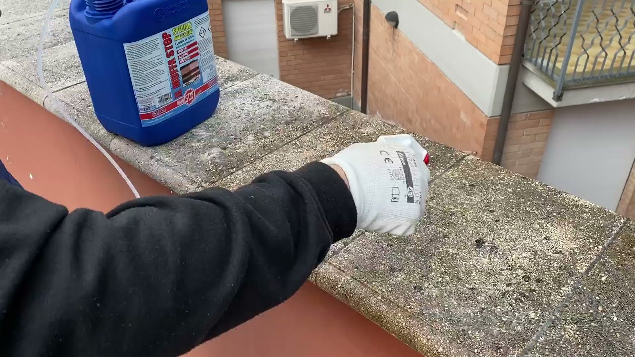 Trattamento muro di recinzione con IL MUFFA STOP