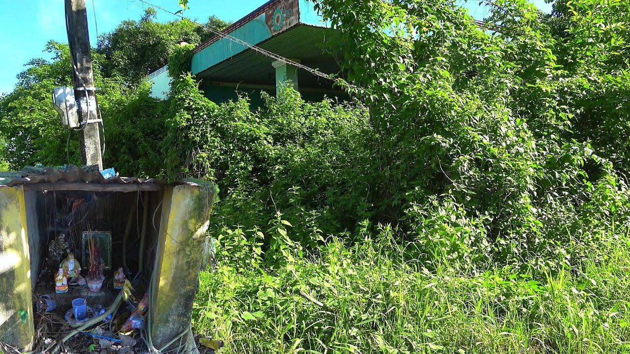 A Woman's Call for Help - The Temple Is Located Next to an Abandoned House