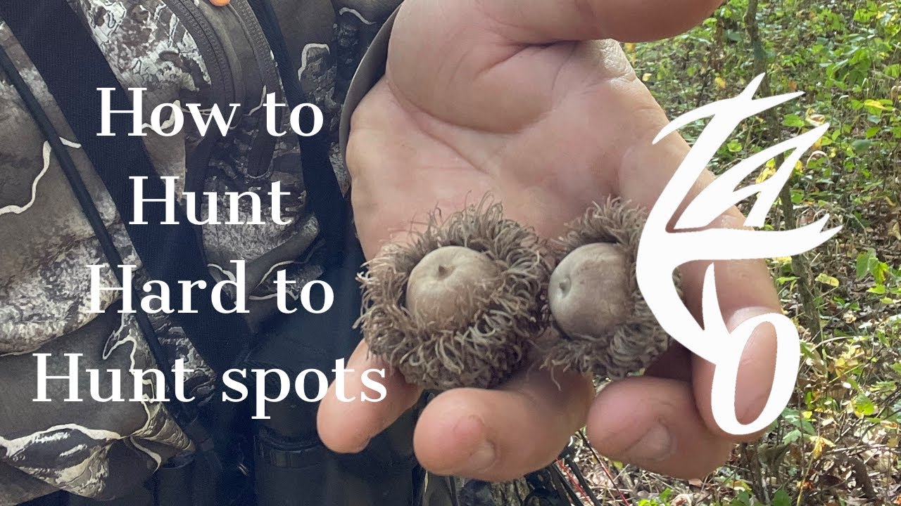 How to Deer Hunt: Hard to Hunt Spots