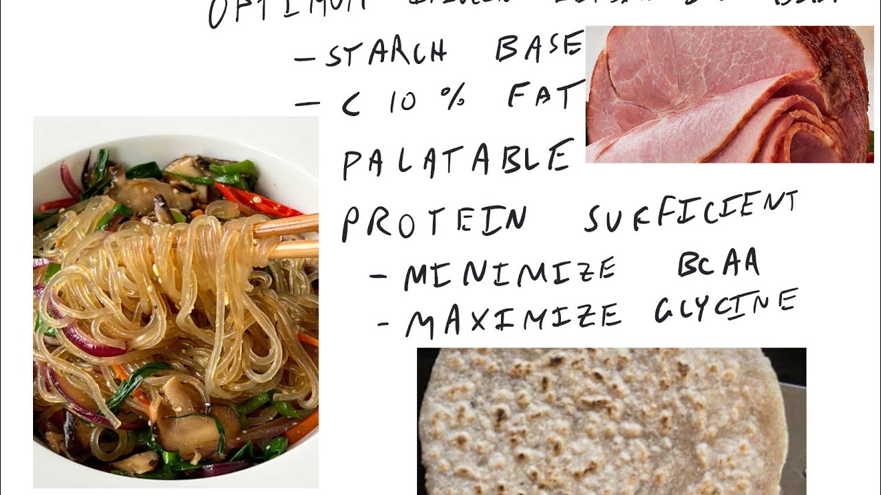 The Optimal Omnivore Diet:  Maximizing Insulin Sensitivity With Plant and Animal Foods