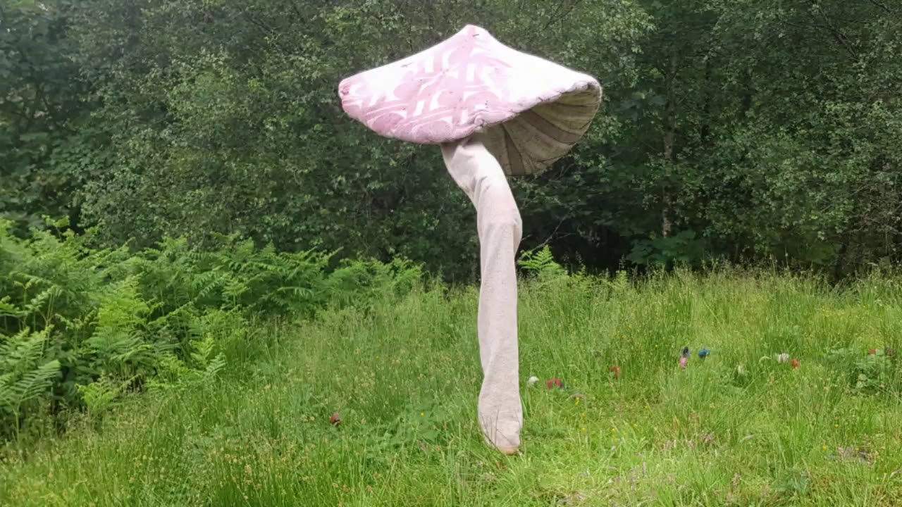 Exploring the Tiroran Community Forest - Isle Of Mull West Coast Scotland - Free day trip.
