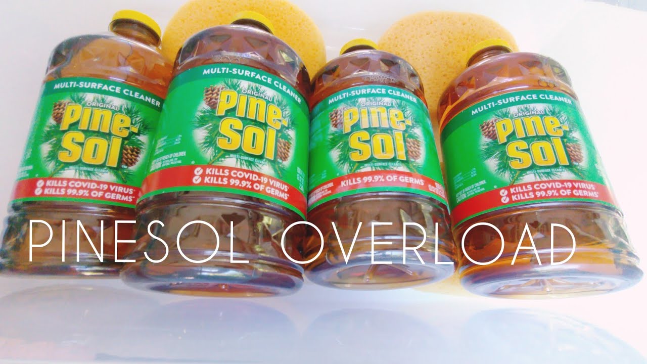 FOUR GALLONS PINE-SOL OVERLOAD | Sponge Squeezing