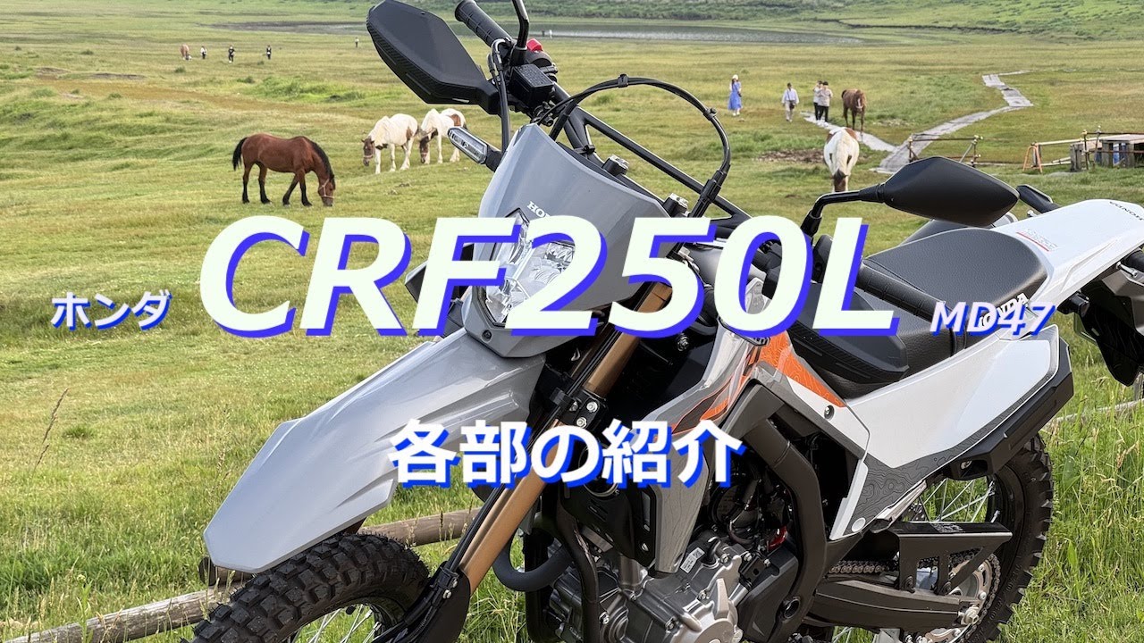 CRF250Lを各部アップ画像で紹介【4K】