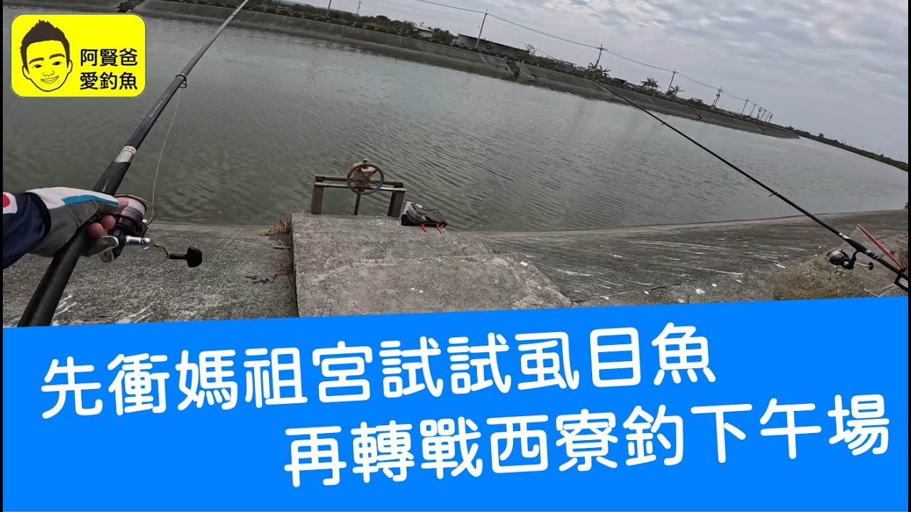 【阿賢爸】愛釣魚 Ep.534 先衝媽祖宮試試虱目魚  再轉戰西寮釣下午場