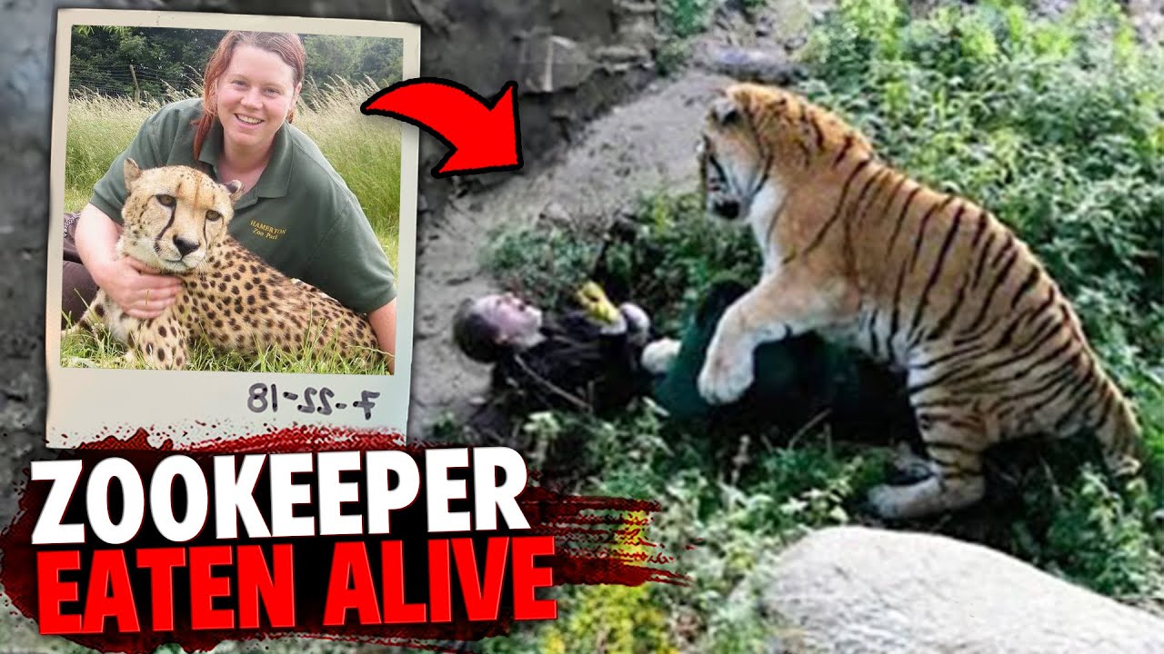 The HORRIFYING Last Minutes of Zookeeper Rosa King!