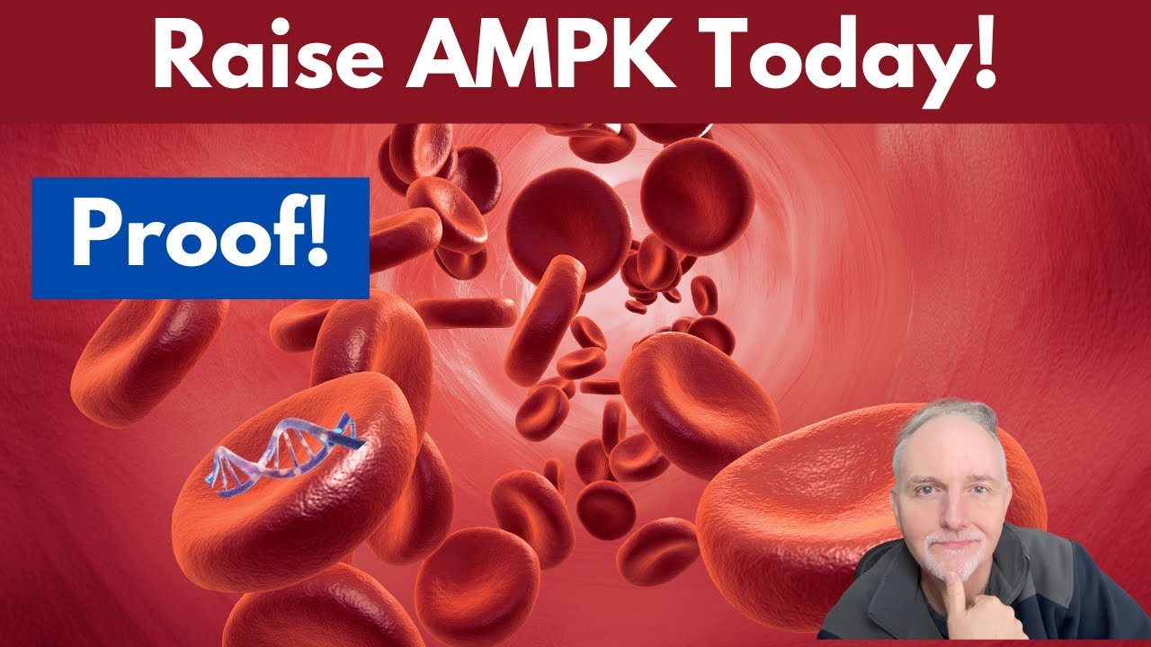 6 Natural Ways to Boost AMPK!