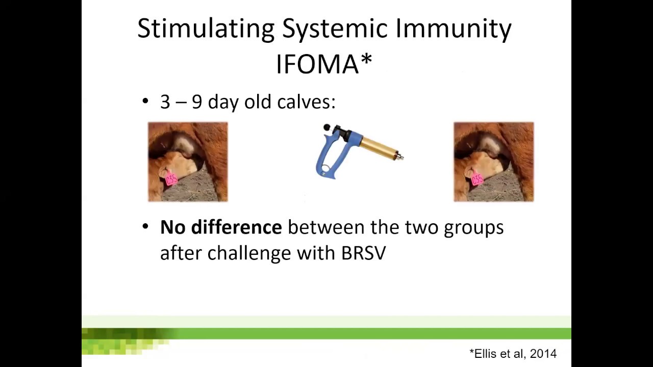 How to use nasal vaccines effectively