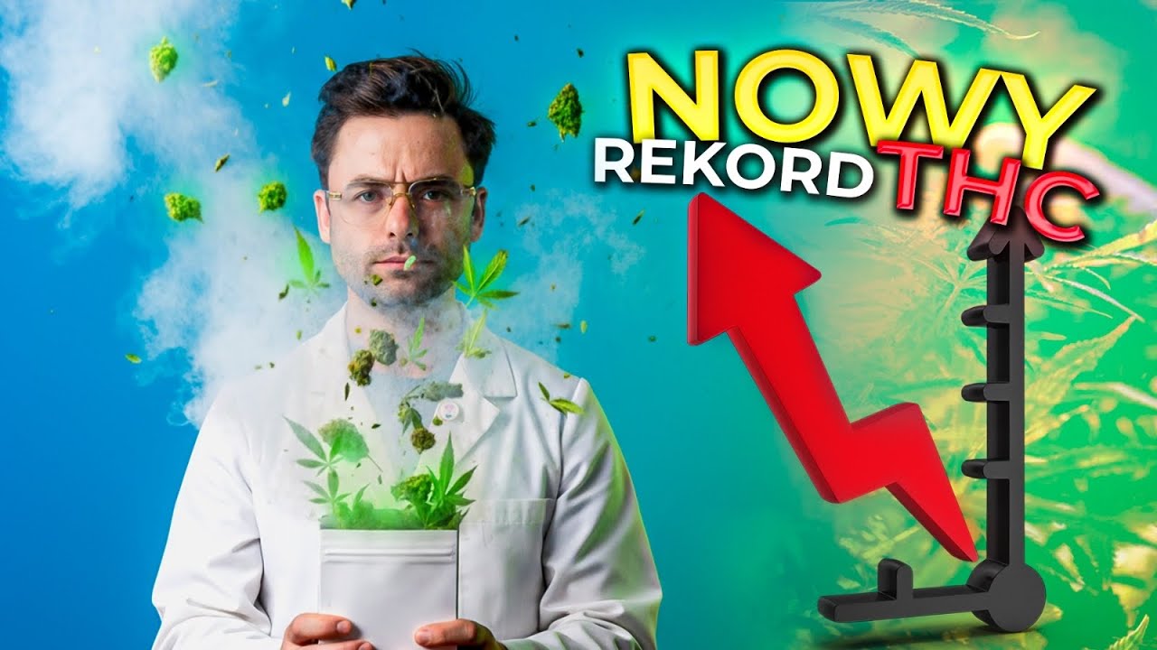 Mocne odmiany &ndash; hit czy przesada?