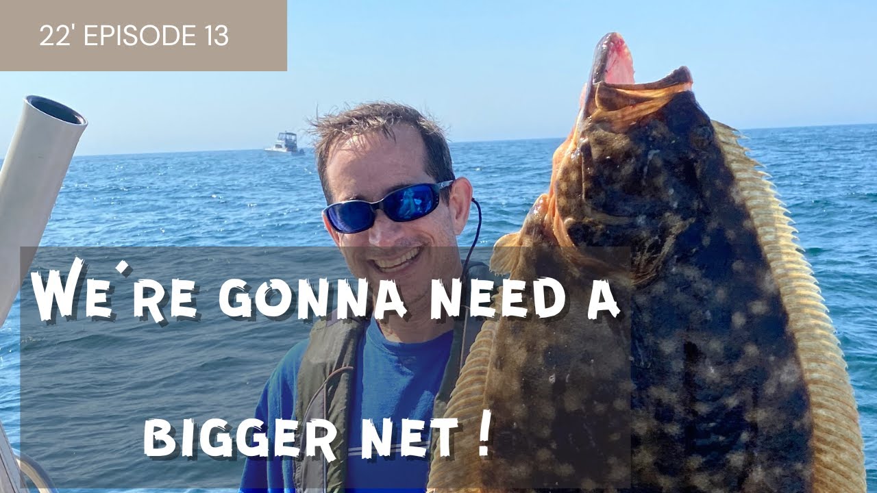 WE'RE GONNA NEED A BIGGER NET!