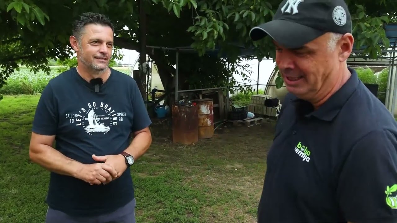 Marinko Kanlić i njegova plastenička povrtarska proizvodnja