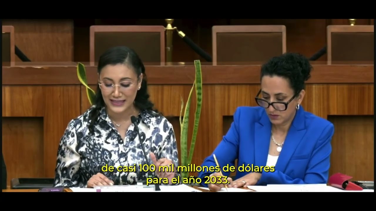 Parlamento Abierto: Vientres de alquiler 