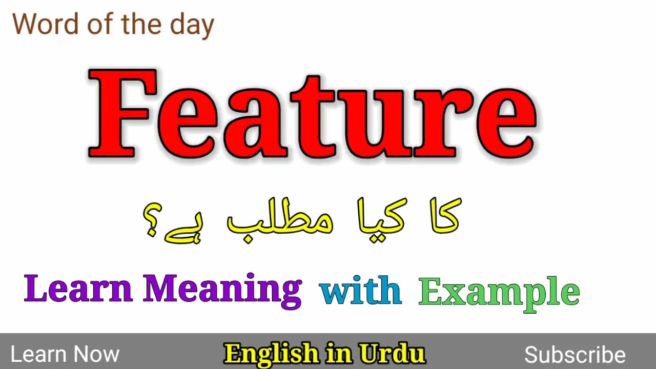 Feature Meaning in Urdu