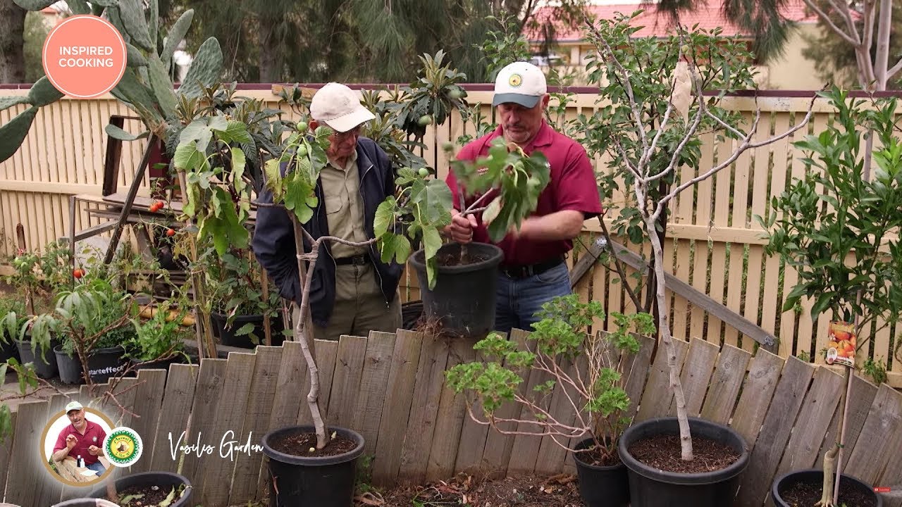 Vasilis Garden S3E22