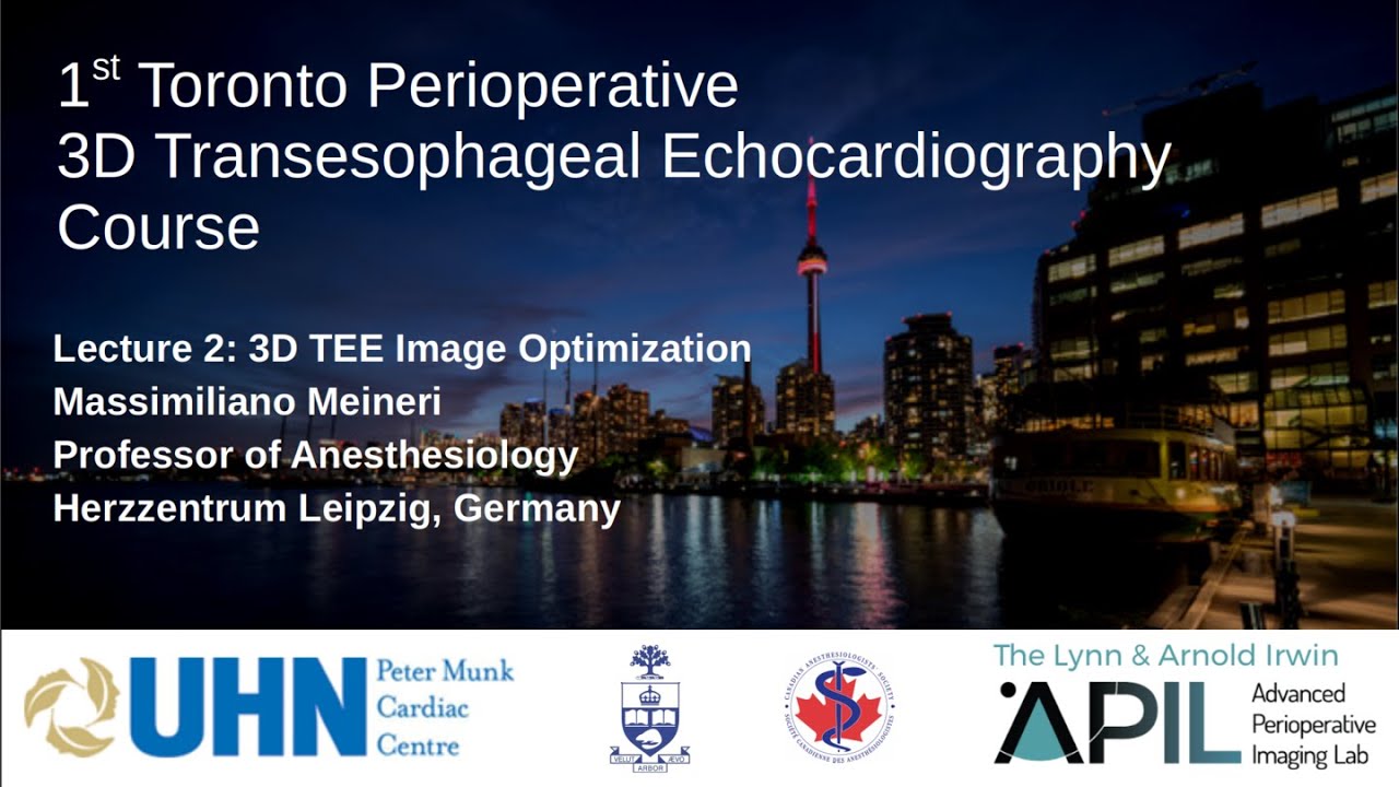 2 Meineri - 2019 - 3D TEE image optimization. Toronto Perioperative 3D TEE Course 2019