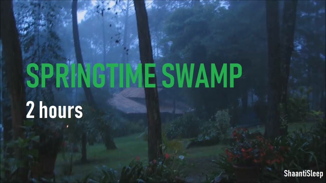 Night Rain In Springtime - 2 Hours of Crickets, frogs, rain, owls, chimes and Rain Sleep Sounds