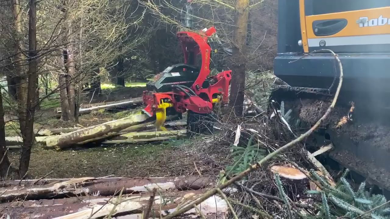 SP 561LF head working on Harvadig