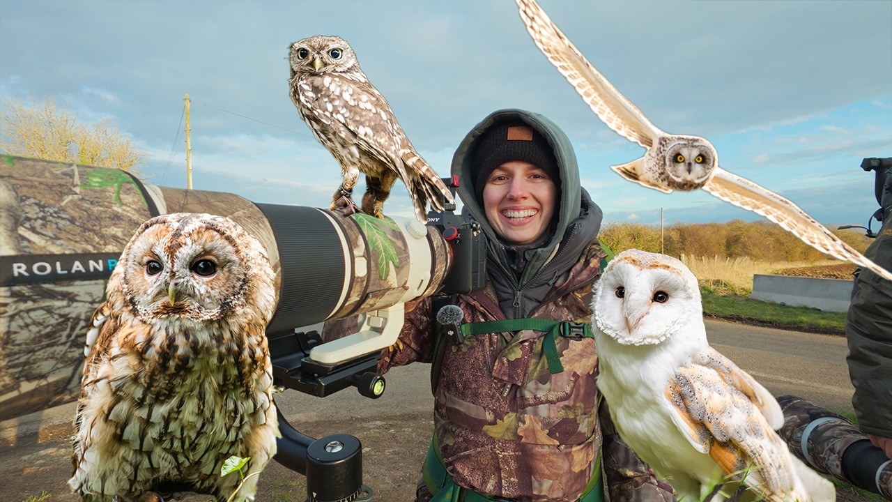 Can we photograph 4 owl species in 1 day?