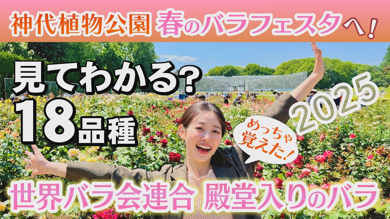 【神代植物公園 春のバラフェスタ(2025)へ行ってみた！】&ldquo;殿堂入りのバラ&rdquo;18品種すべて言い当てる！