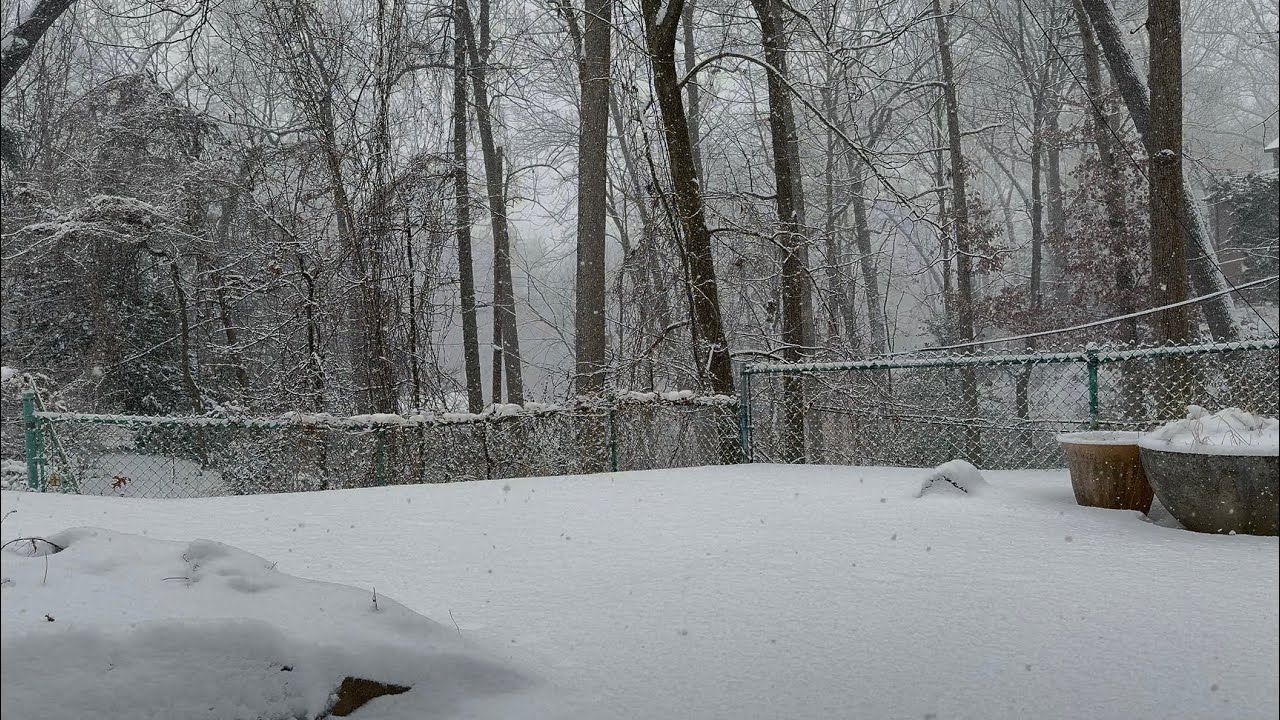 Beautiful snowfall Friday, February 6, 2026 at 11:46 AM